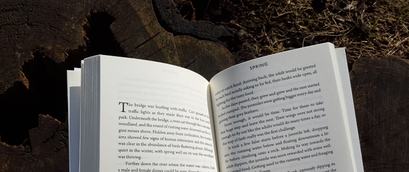 Book News: Spring (An Anthology for the Changing Seasons)