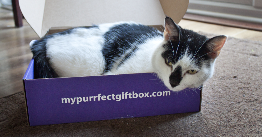 My Purrfect Giftbox Subscription