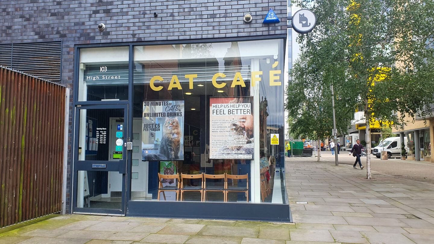 Cat Cafe Manchester