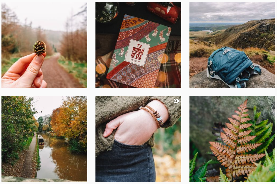 Improve Instagram photos - this photo shows a feed with a variety of images from the outdoors and plants,