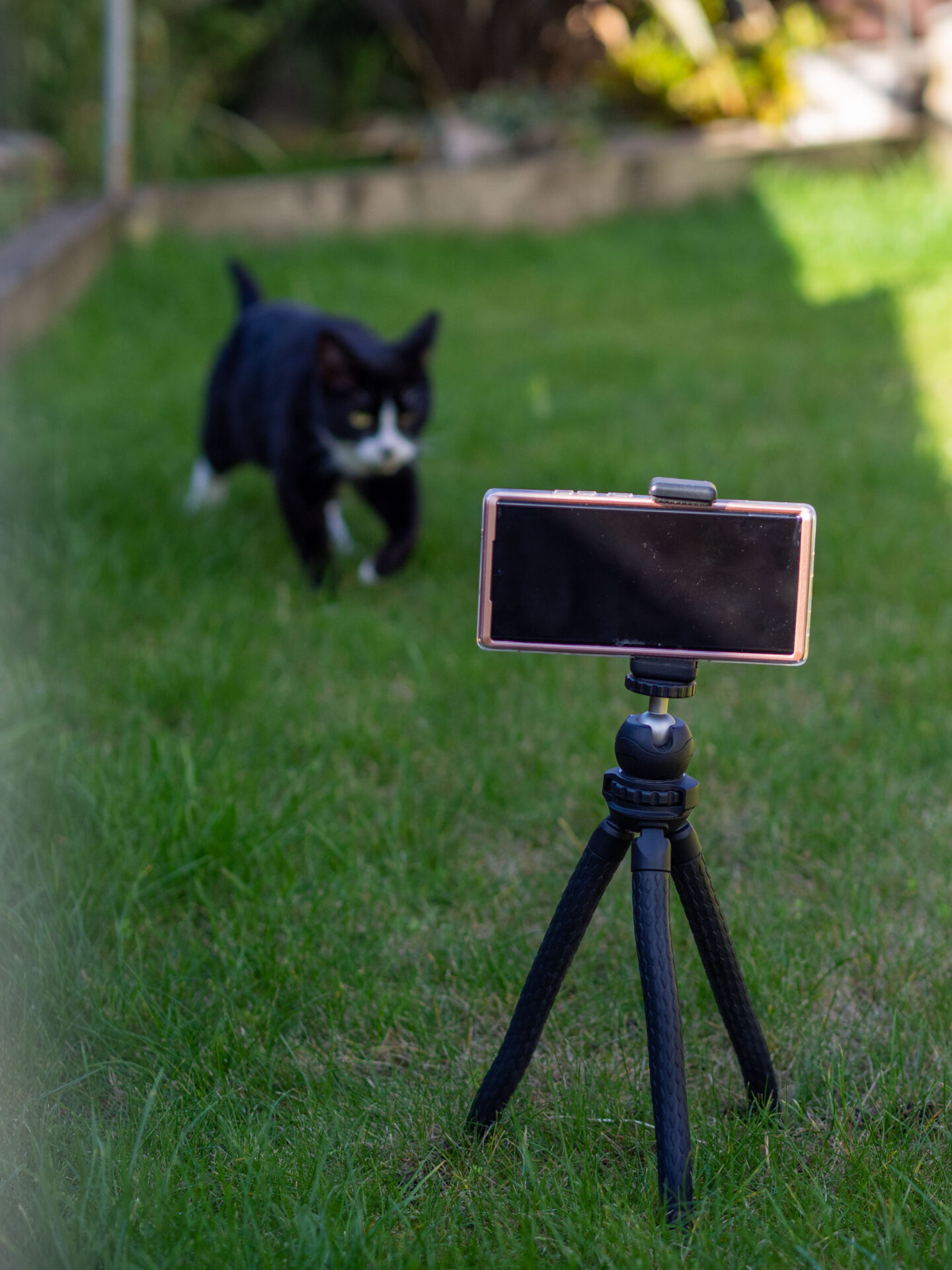 Flexible travel tripod on grass